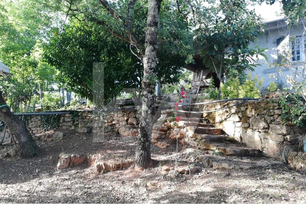 Terreno Rústico com viabilidade de construção localizado na Freguesia