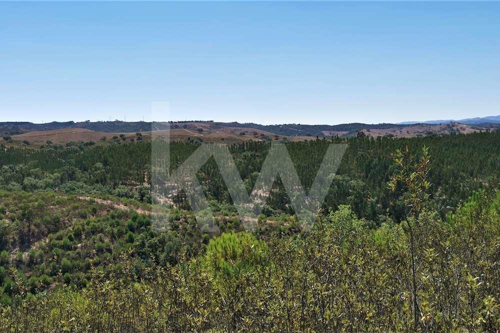 Terreno / Herdade em Odemira com 80 ha | Projeto Turístico permitido ...