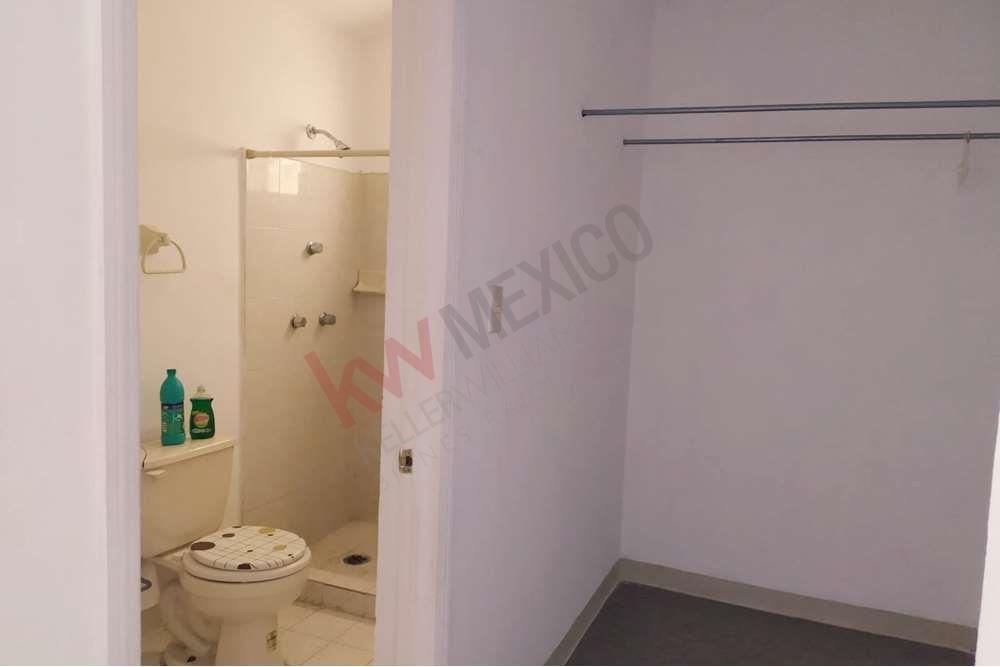 Imagen 3 de 5