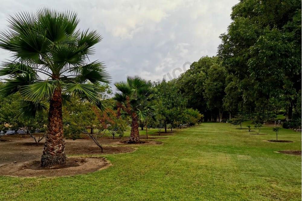 Las Moras Estates are situated in El Espejo, a charming location where the Damian River meets the Laja River.