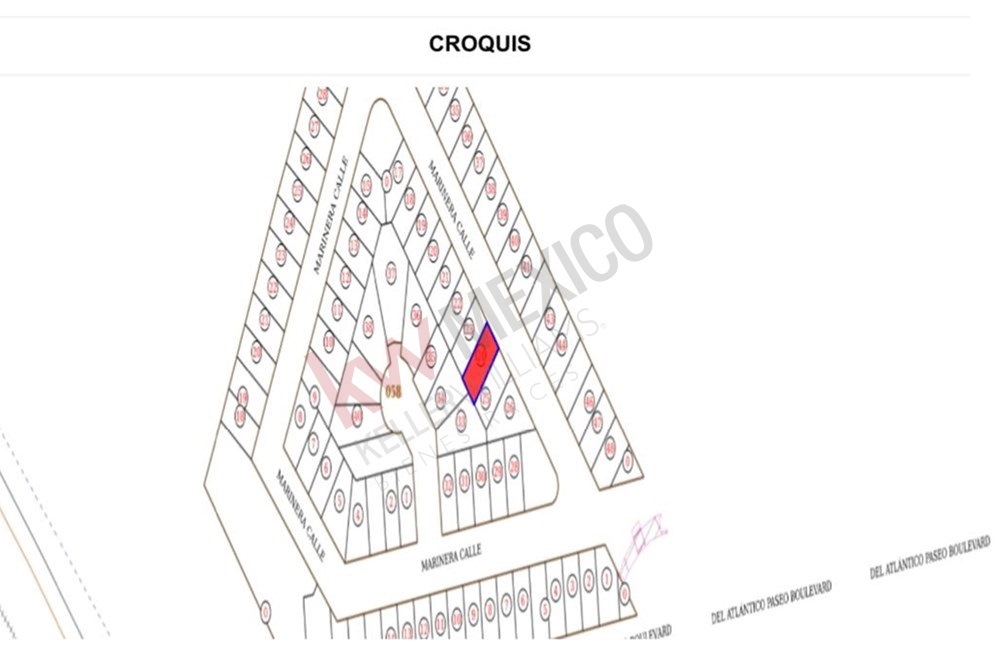 Imagen 3 de 5