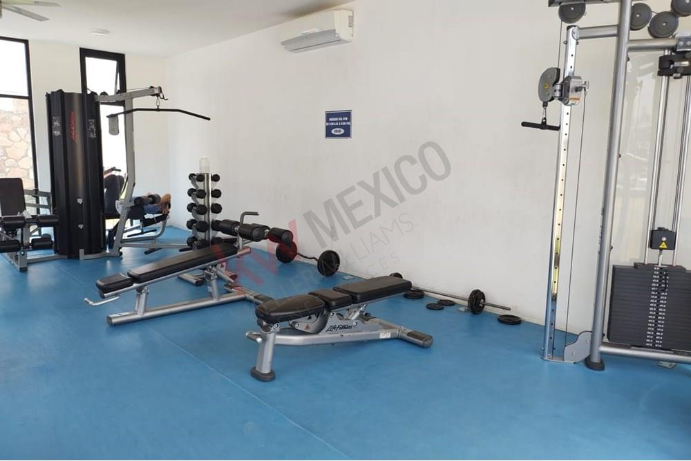 Imagen 3 de 5