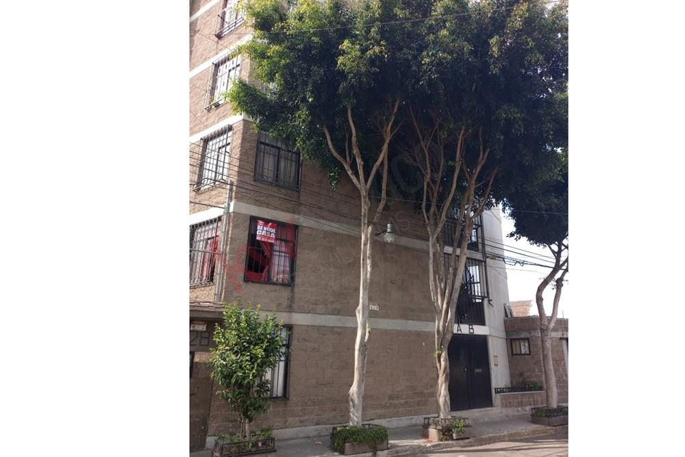 Imagen 3 de 5