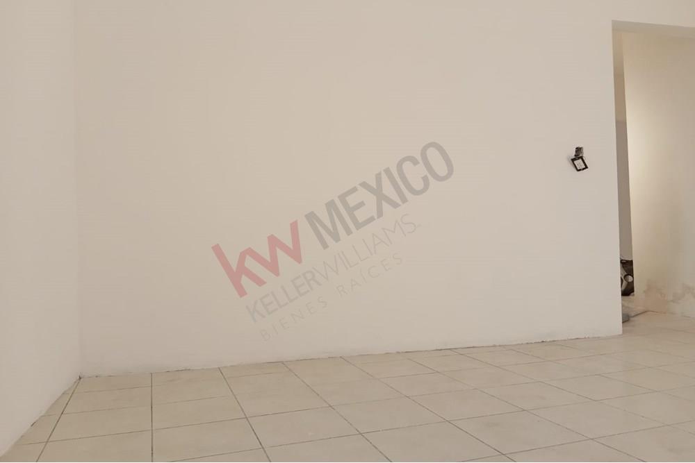 Imagen 4 de 5