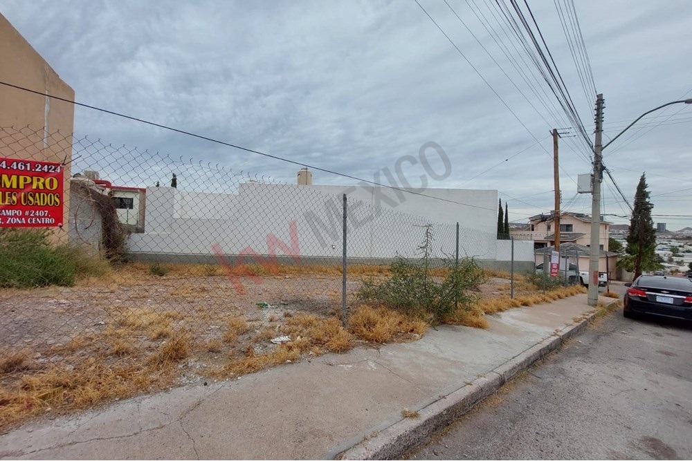 Imagen 4 de 5
