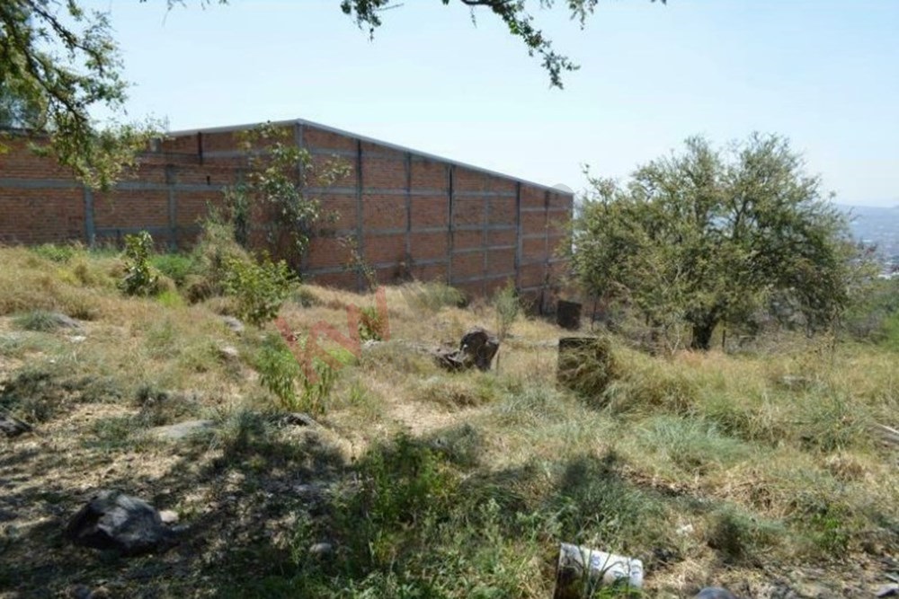 Imagen 3 de 5