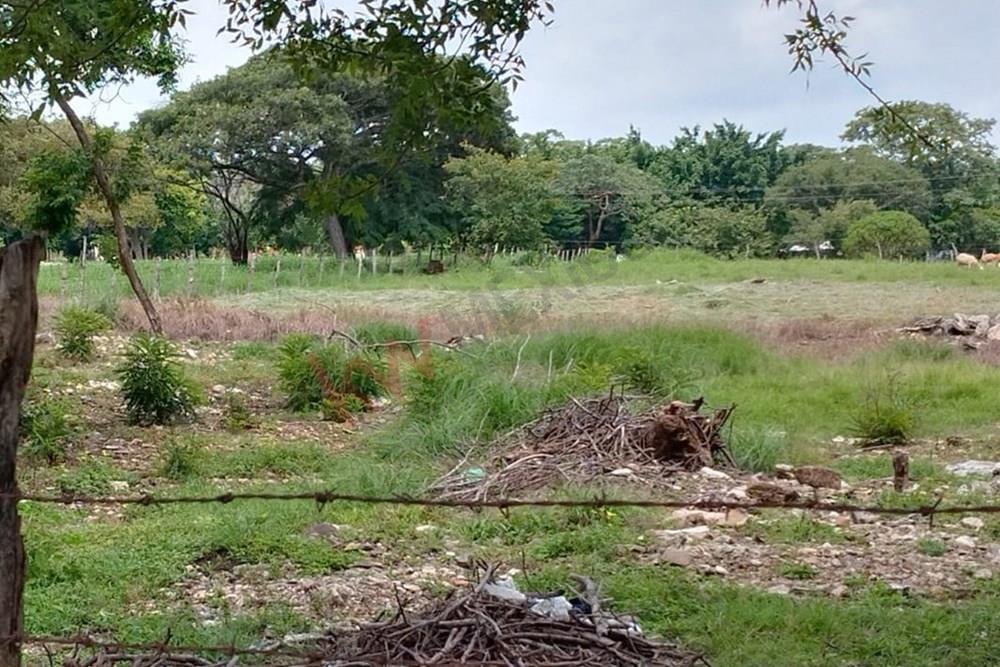 Se renta terreno en Berriozábal, Chiapas