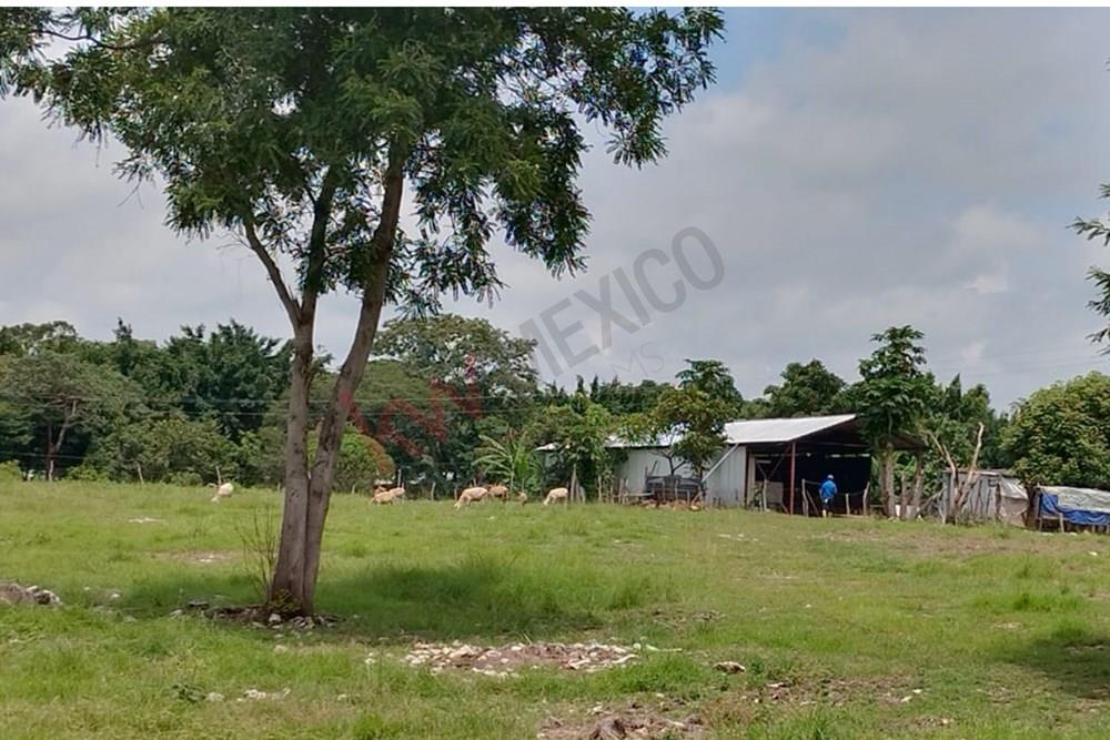 Se renta terreno en Berriozábal, Chiapas