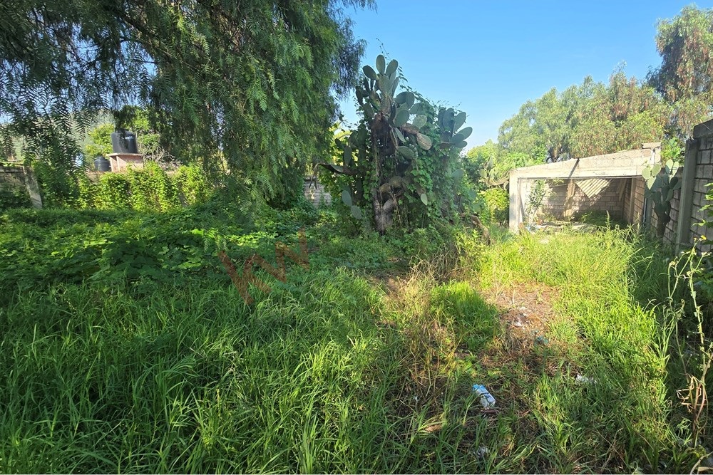 Terreno en Venta en San Lucas Tepango con Uso de Suelo Mixto a 10 minutos de Teotihuacan