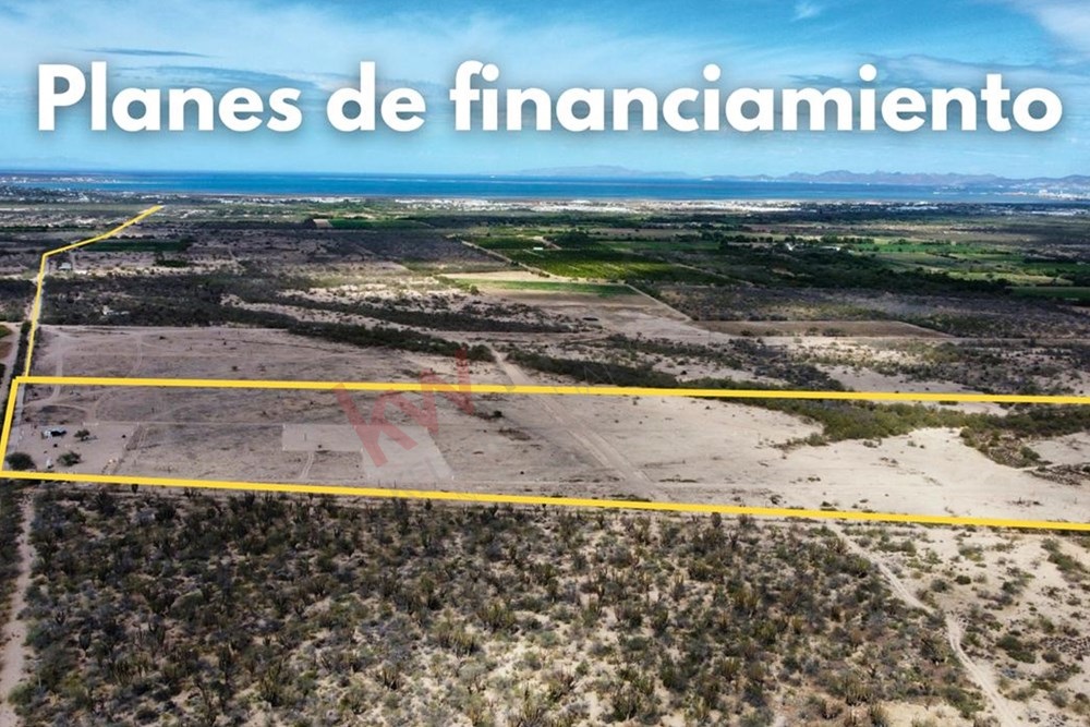 Imagen 3 de 5