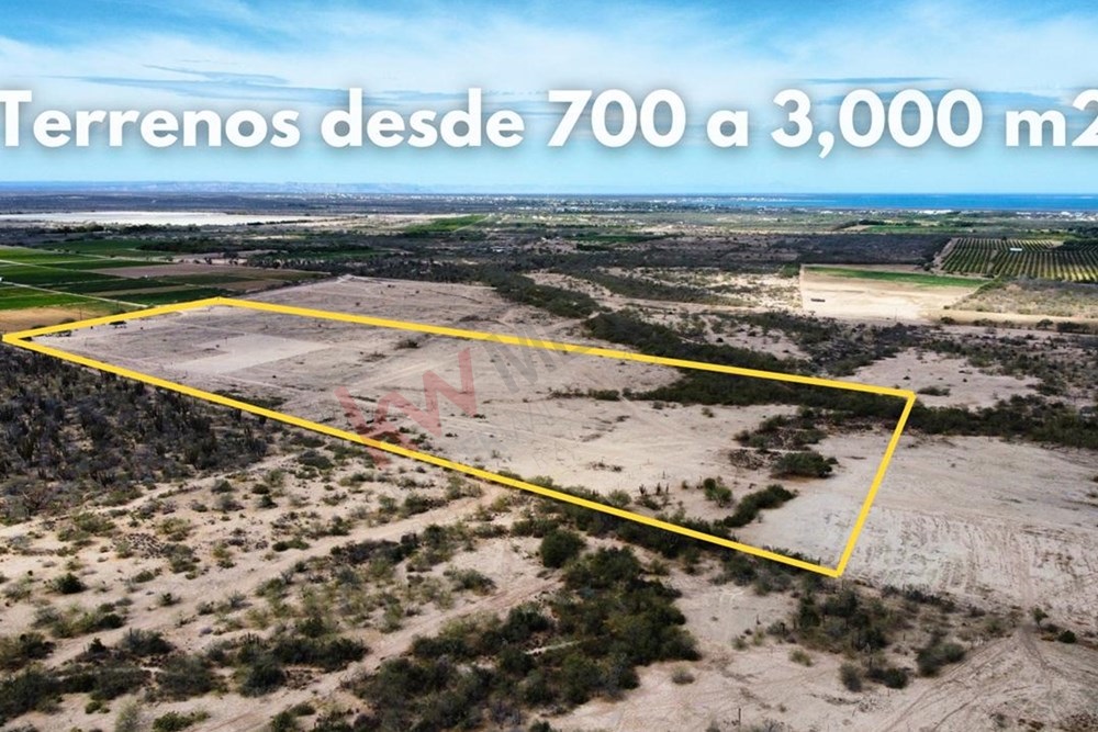Imagen 4 de 5