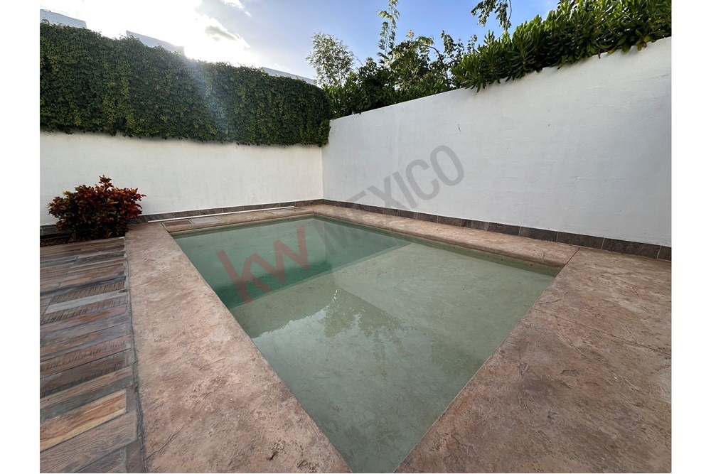 Imagen 3 de 5