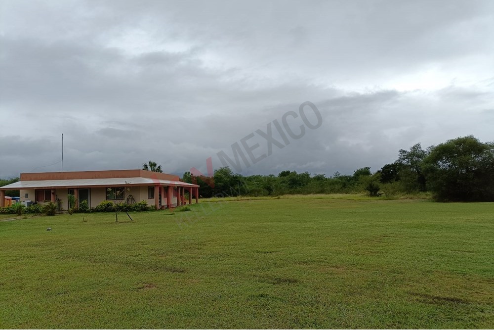 Imagen 3 de 5