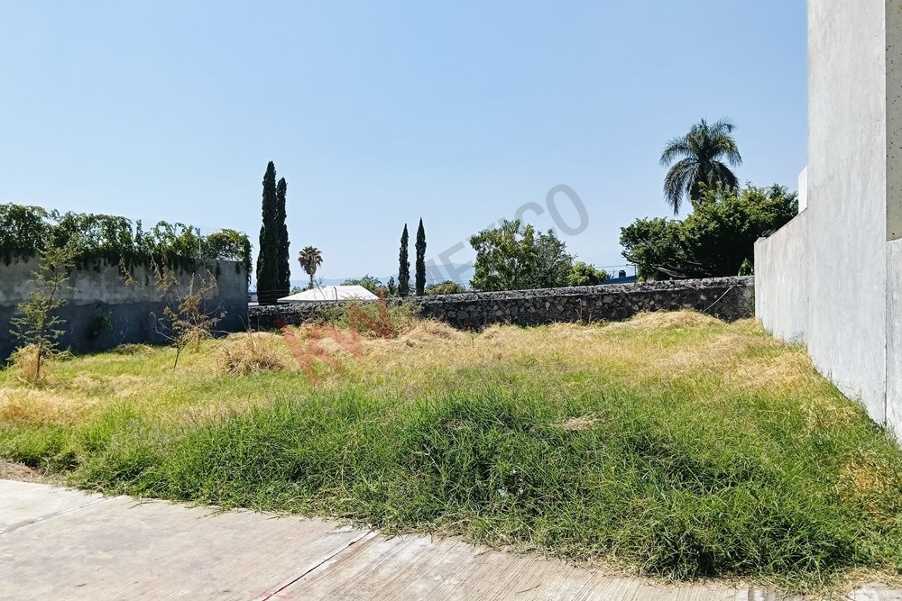 Imagen 4 de 5