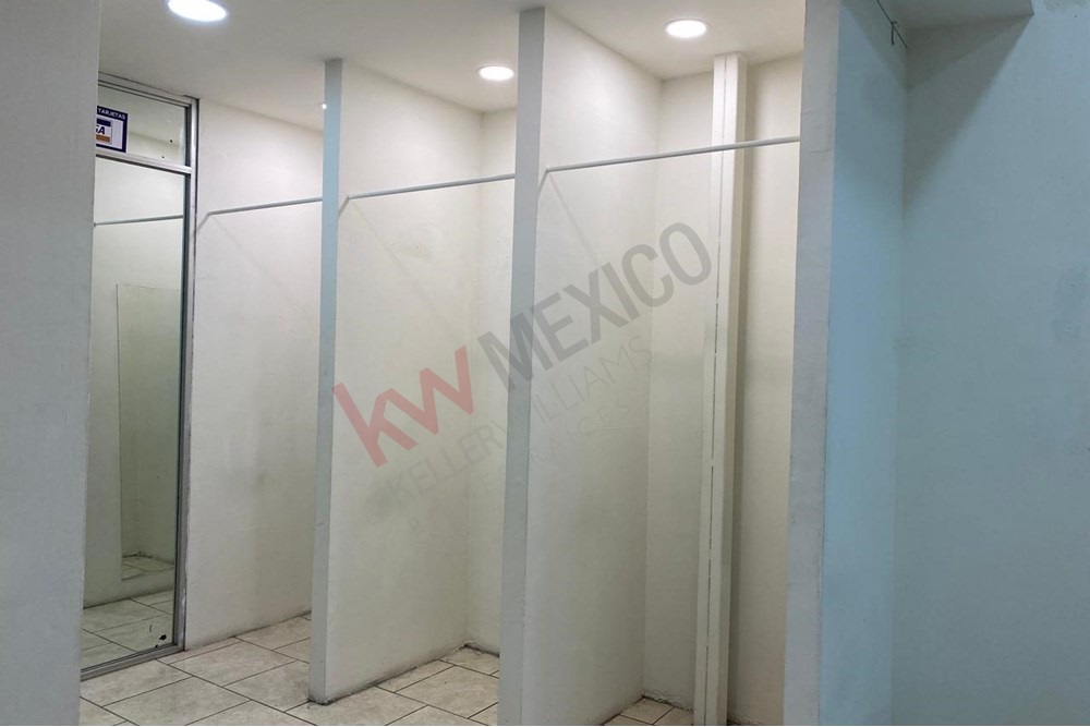 Imagen 4 de 5