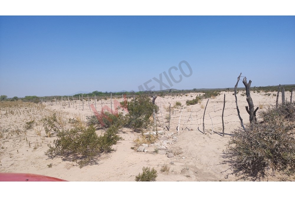 Imagen 5 de 5