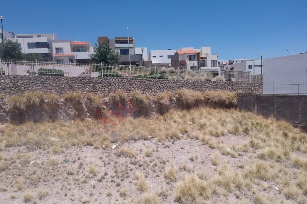 Imagen 3 de 5