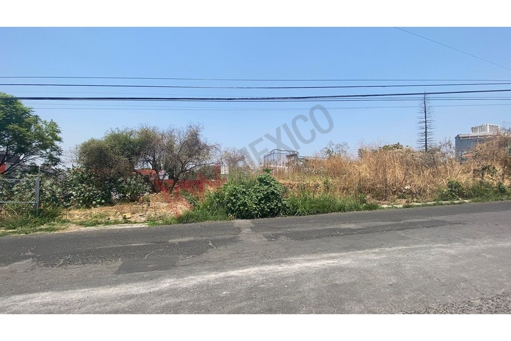 Imagen 3 de 5