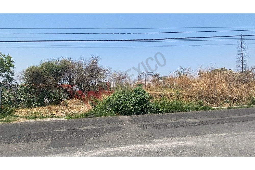 Imagen 2 de 5