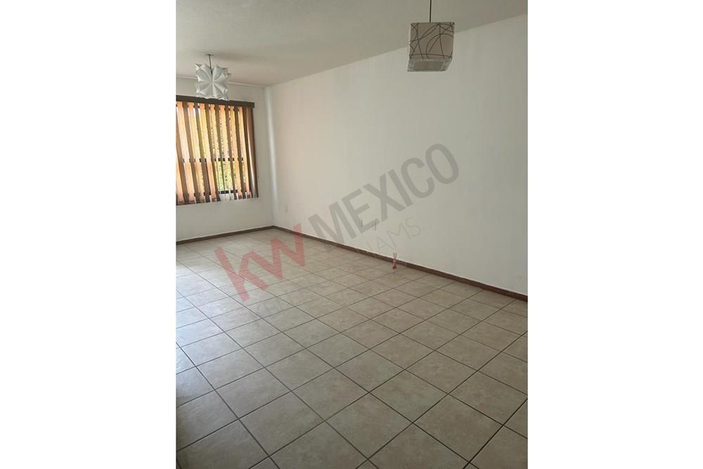 Imagen 3 de 5