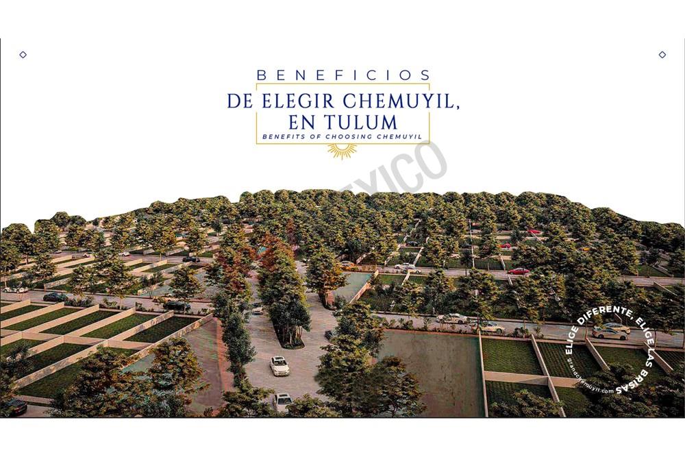 Destino al Sureste de Mèxico en Tulum, preventa de lotes premium. PreVenta de lotes en Tulum, Preventa lotes a 800 cerca de la  playa