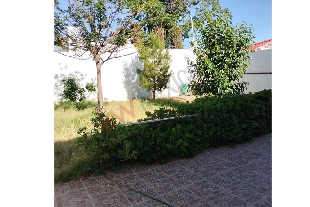 Imagen 5 de 5