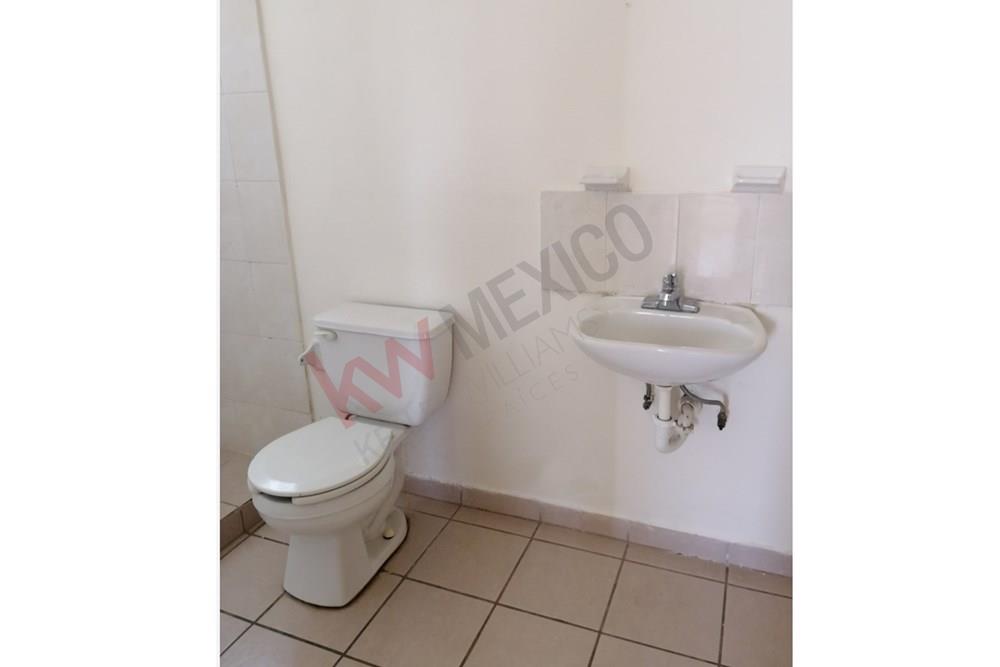 Imagen 5 de 5