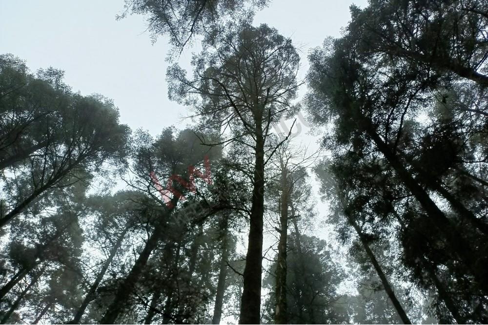 Imagen 2 de 5