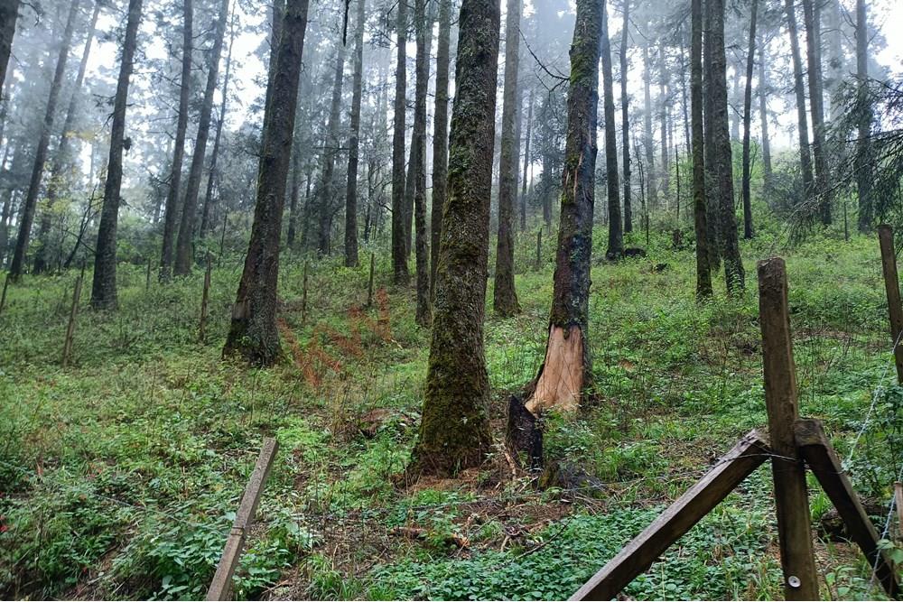 Terreno en fraccionamiento de Cabañas, entre Mineral del Chico y Real del  Monte.