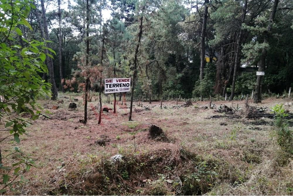 Venta de terreno en Fraccionamiento La Floresta, Hutizilac, Morelos.