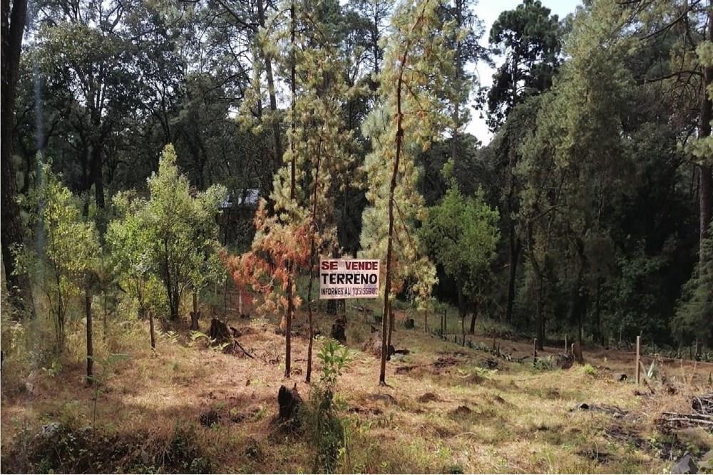 Venta de terreno en Fraccionamiento La Floresta, Hutizilac, Morelos.