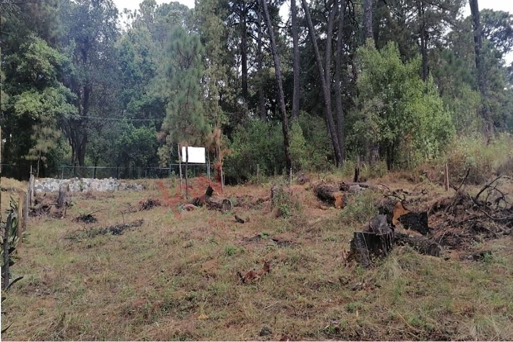 Venta de terreno en Fraccionamiento La Floresta, Hutizilac, Morelos.