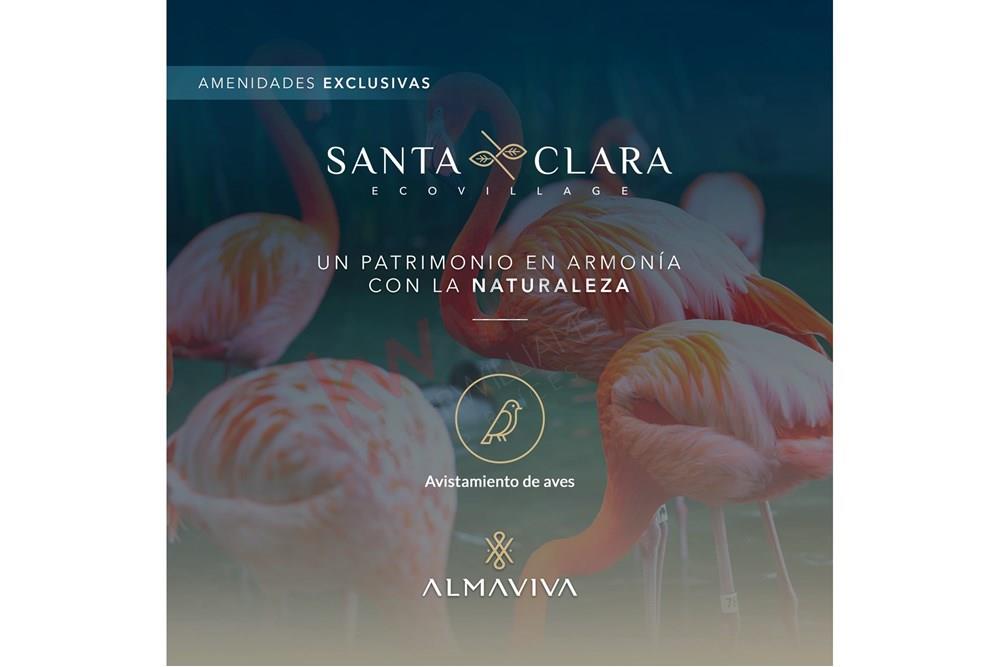 Preventa de Lotes premium a dos minutos de Playa Santa Clara, Yucatàn,