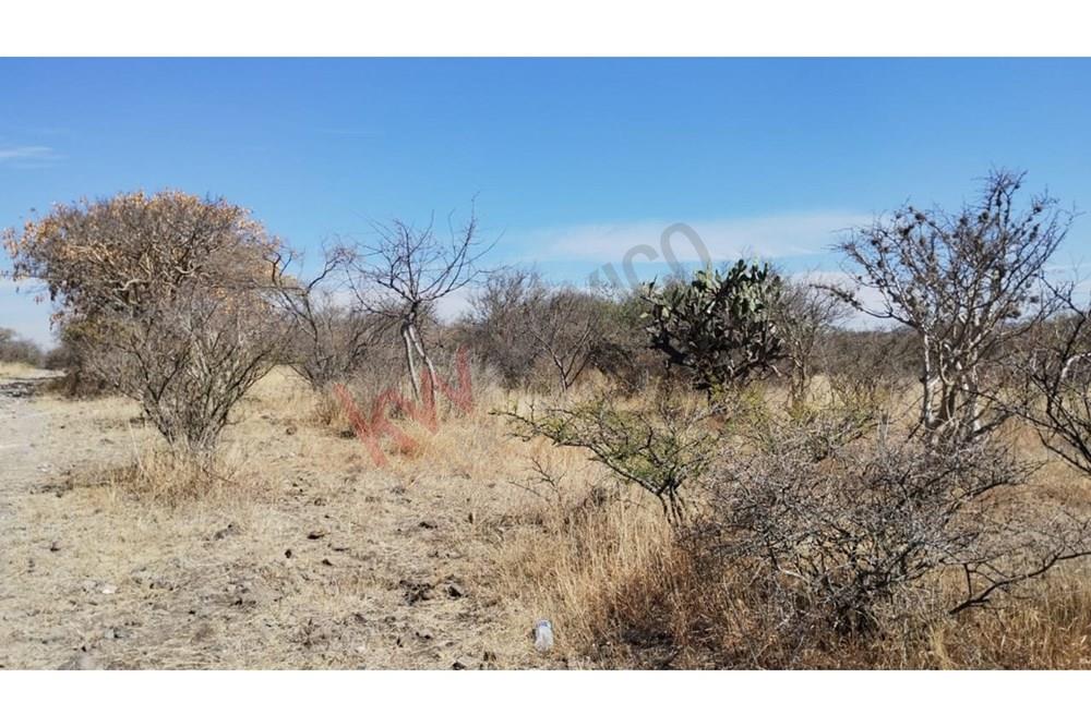 TERRENO EN VENTA EN FRACCIONAMIENTO EN AMAZCALA EL MARQUES QUERETARO