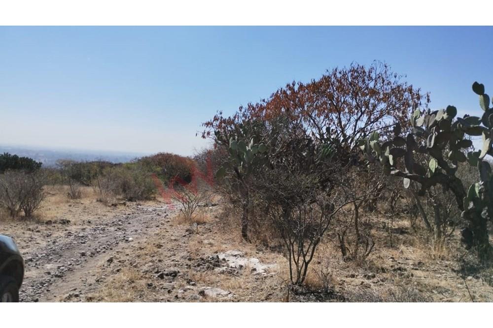 TERRENO EN VENTA EN FRACCIONAMIENTO EN AMAZCALA EL MARQUES QUERETARO