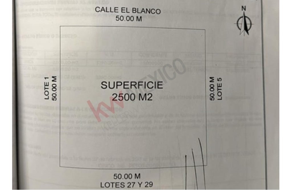 Imagen 4 de 5