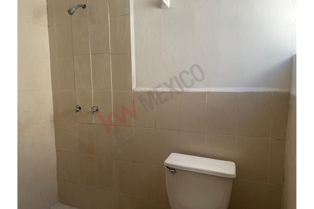 Imagen 4 de 5
