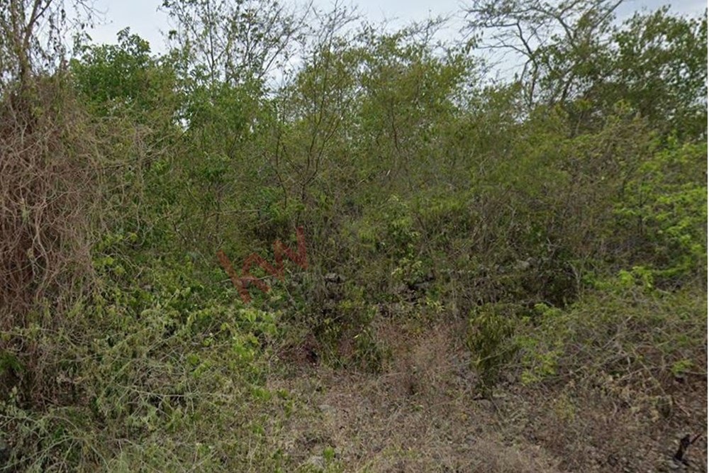 Imagen 3 de 5