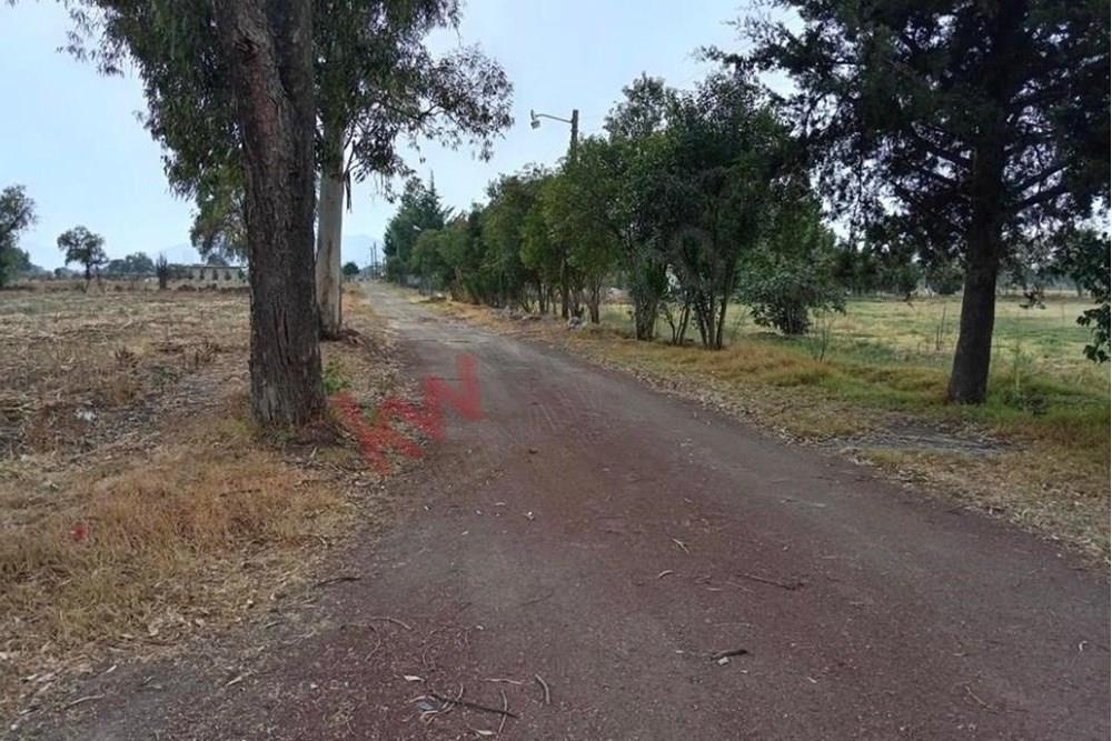 Terreno en venta ubicado en San Francisco Mazapa, en el municipio de San  Juan Teotihuacan con