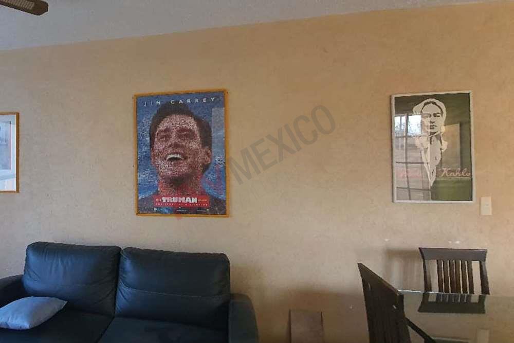 Imagen 5 de 5