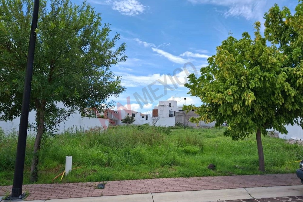 Imagen 2 de 5