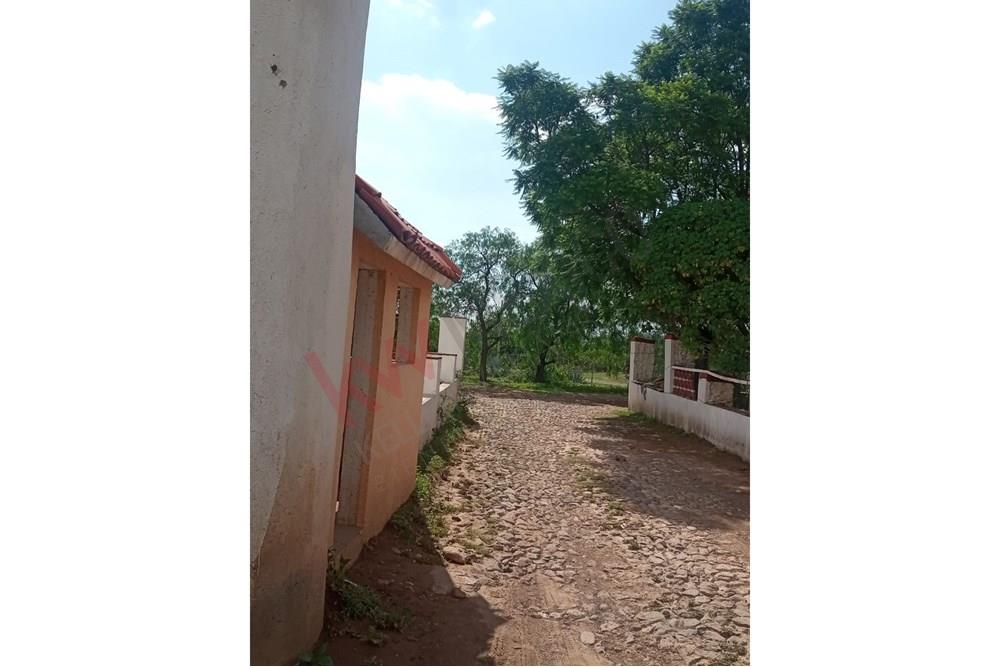 Imagen 4 de 5