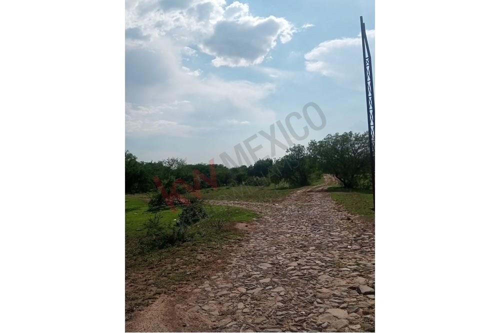 Imagen 5 de 5