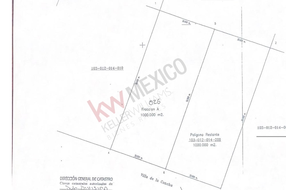 Imagen 2 de 3