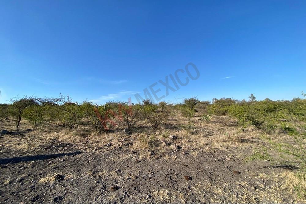 Imagen 4 de 5