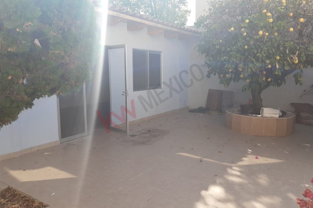 Imagen 3 de 5