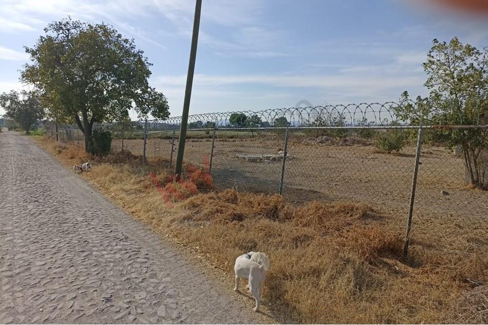 Terreno de 4478m2; en Ejido del Pueblito; cerca del C.A.M, tiene uso de suelo habitacional, cuenta con transformador y cisterna propia, bardeado con malla ciclónica.