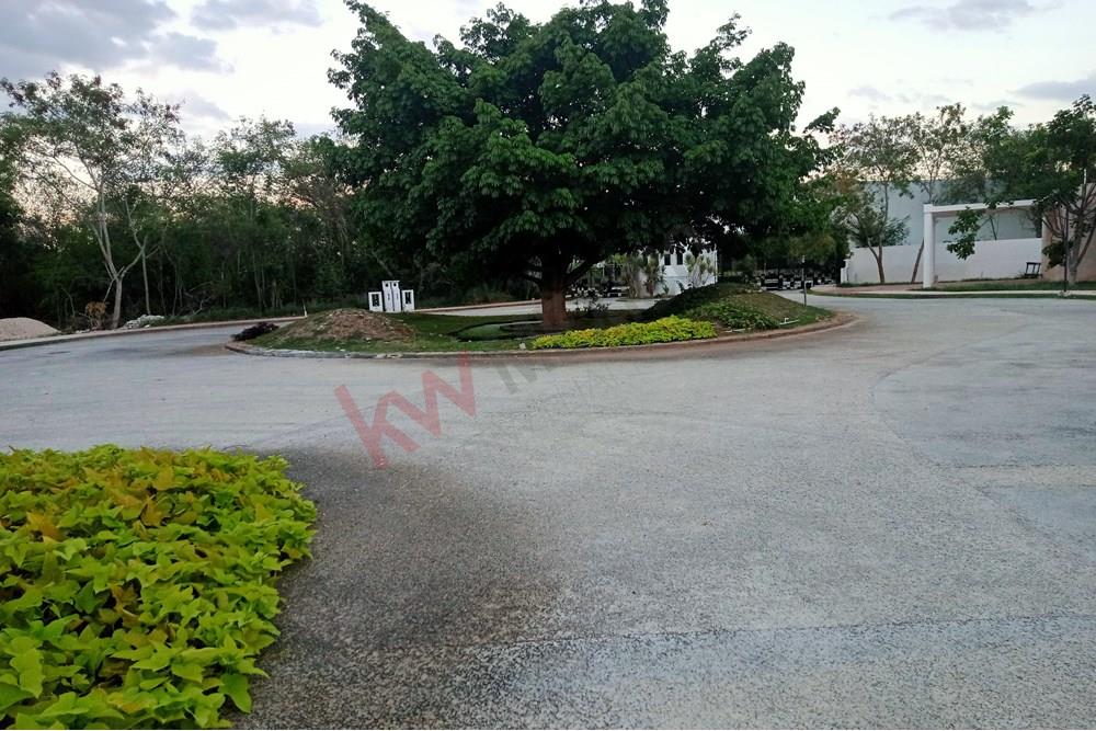 Imagen 3 de 5