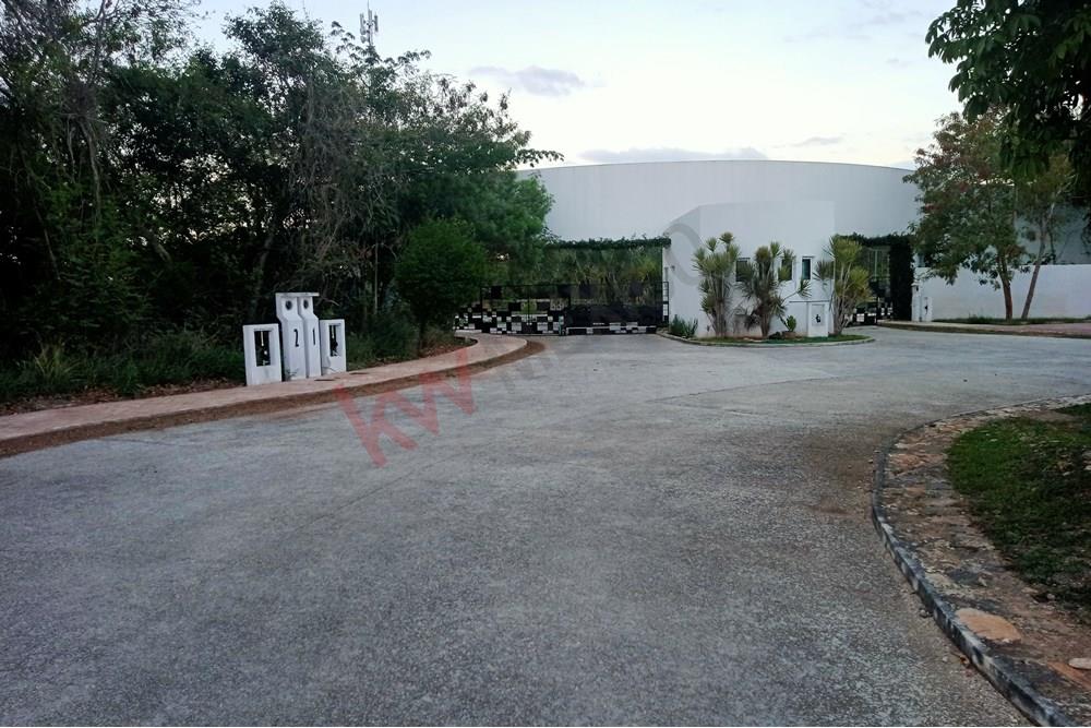 Imagen 4 de 5