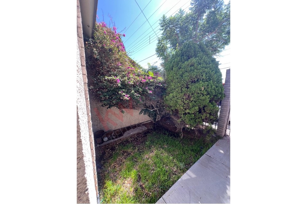 Imagen 2 de 5